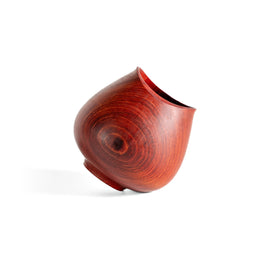 Vaso Tulipa - Muirapiranga